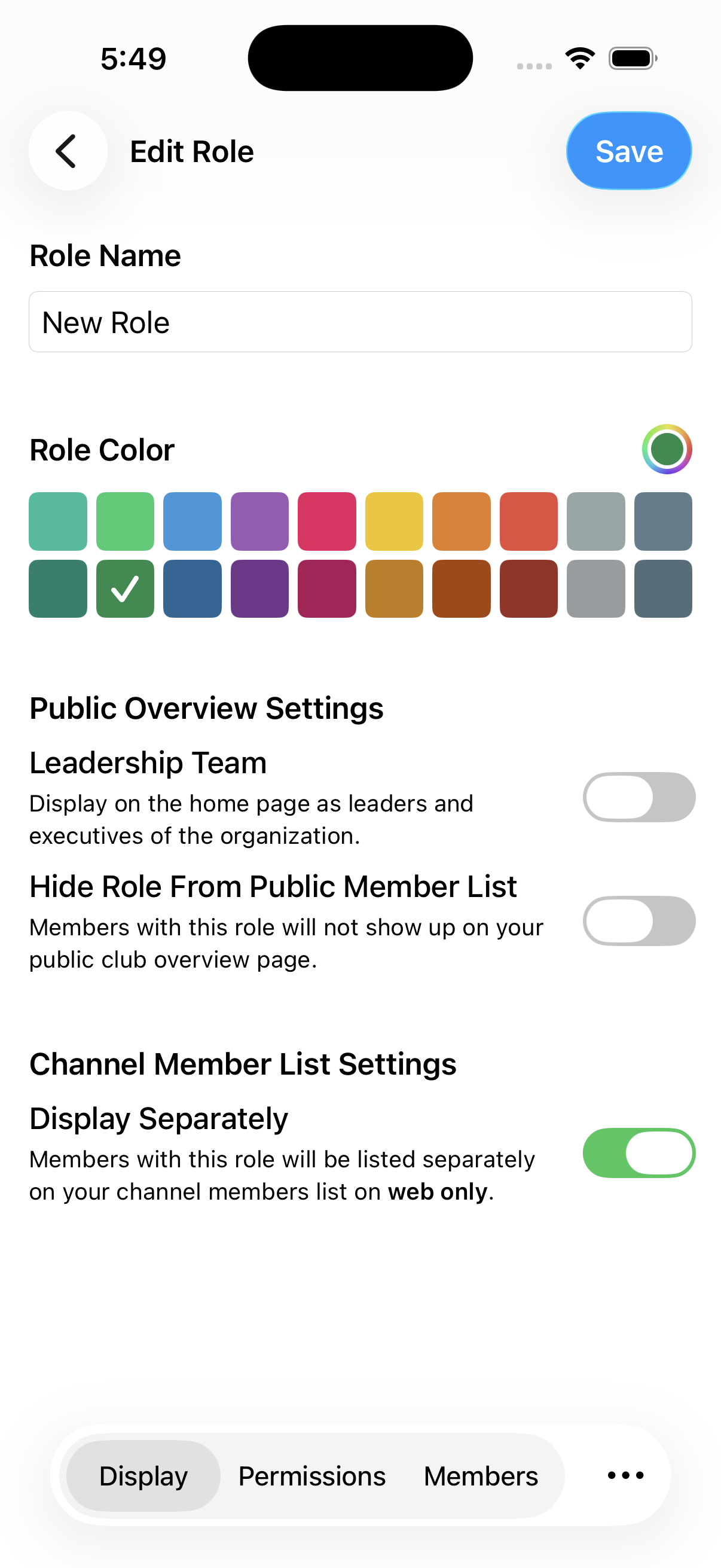 The Display tab of the role editor, with name, color and the three switches