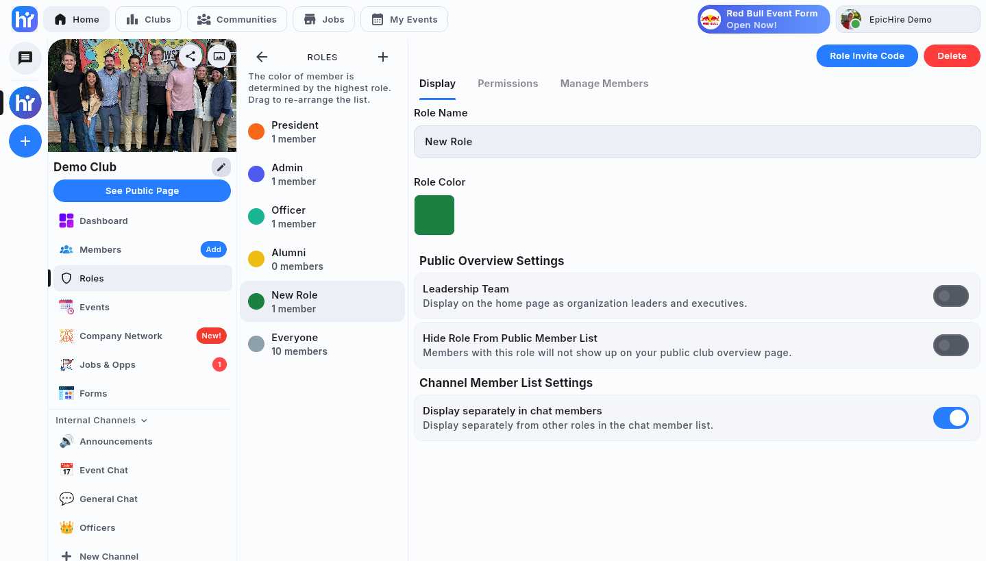 The Display tab of the role editor in the web app